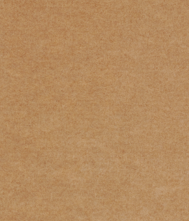 /_next/static/media/brown-background.154bd19c.png